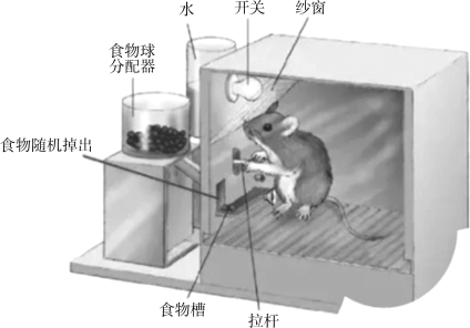 pagenumber_ebook=38,pagenumber_book=31