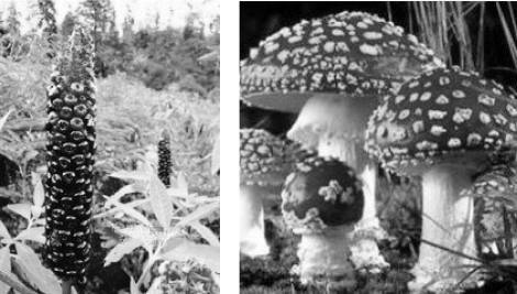 pagenumber_ebook=153,pagenumber_book=153