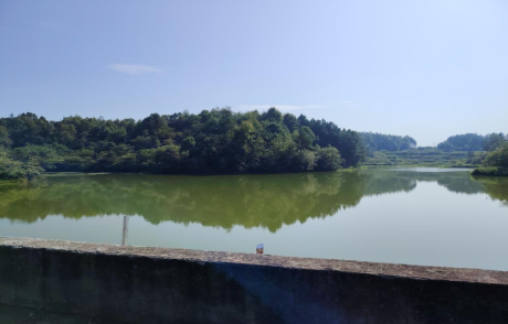 图片 6 图片 6.png