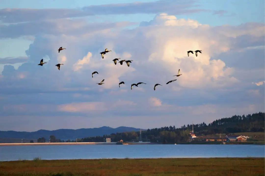 微信图片_20200613090750 微信图片_20200613090750