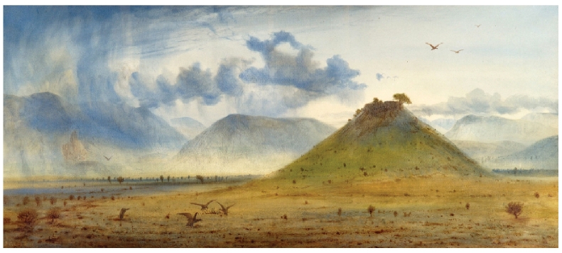 pagenumber_ebook=219,pagenumber_book=205