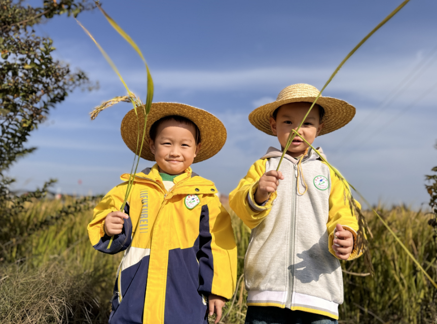 image image.png?v=1762619443347