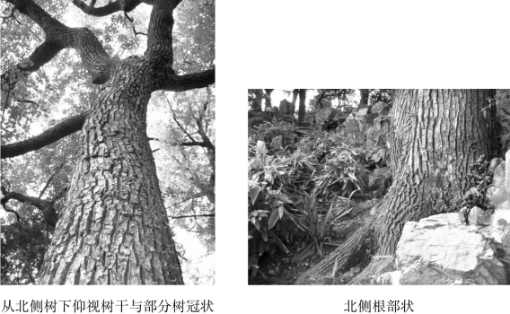 pagenumber_ebook=128,pagenumber_book=128