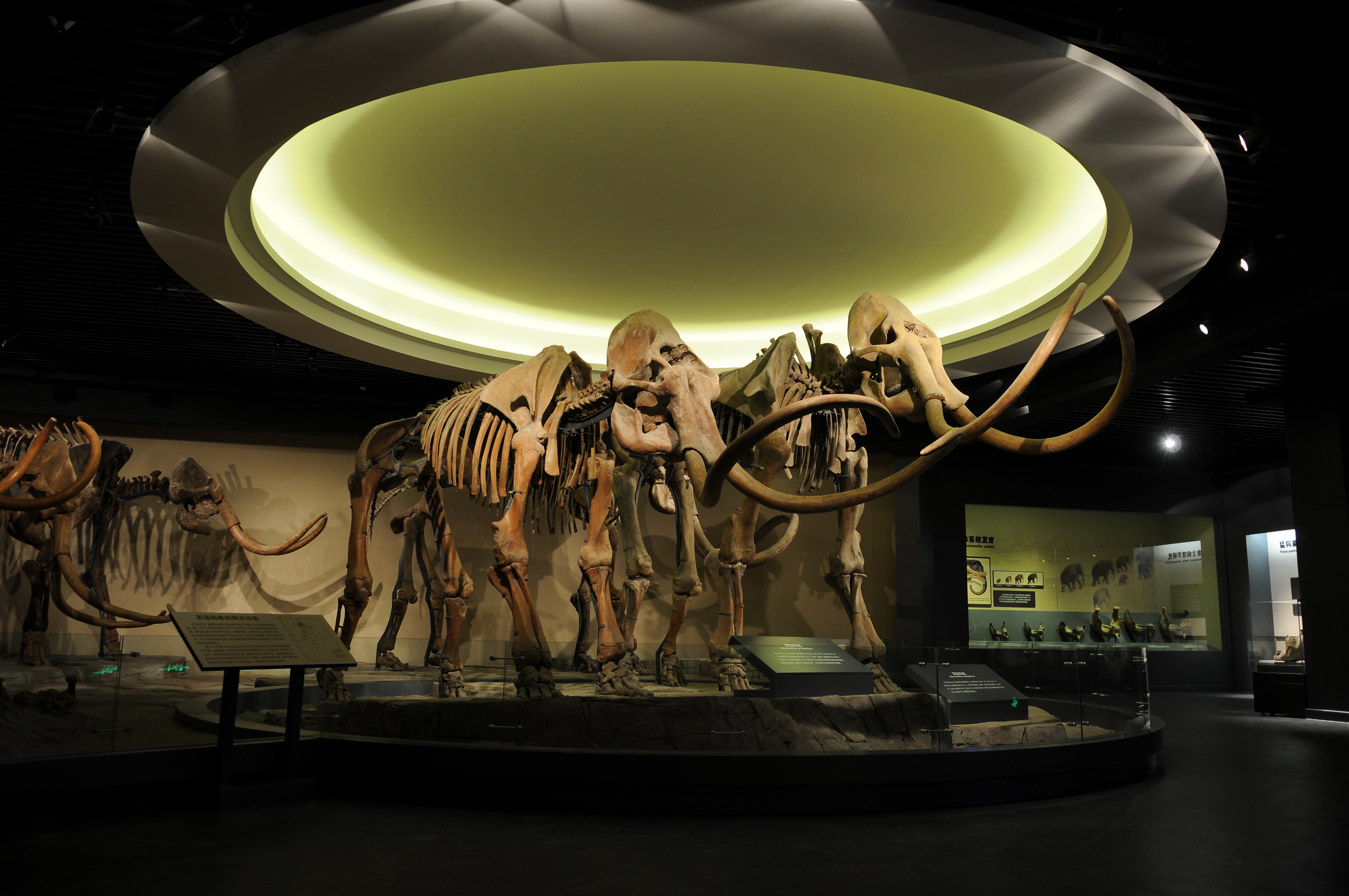 博物馆2 博物馆2.jpg