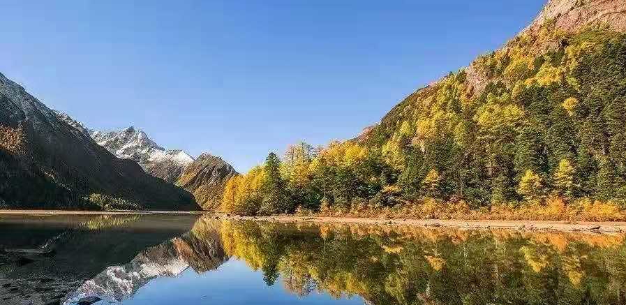 微信图片_20210118150349_看图王 微信图片_20210118150349_看图王.jpg