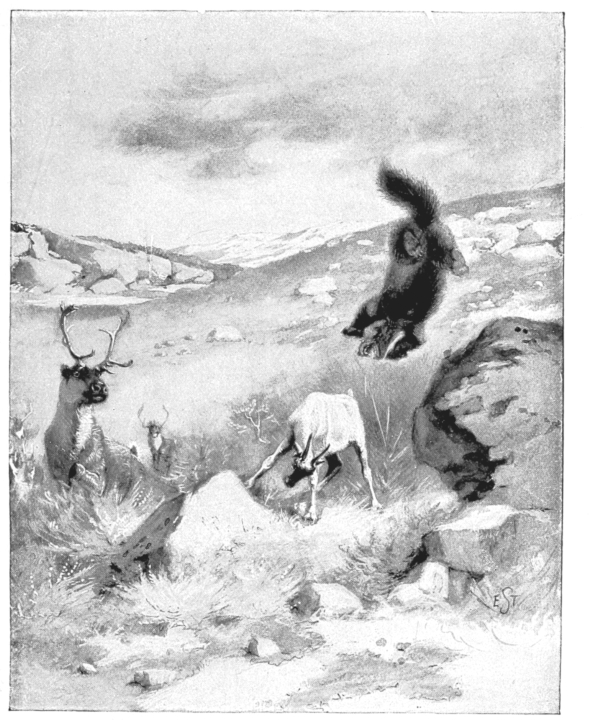 pagenumber_ebook=310,pagenumber_book=302