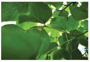 pagenumber_ebook=47,pagenumber_book=39