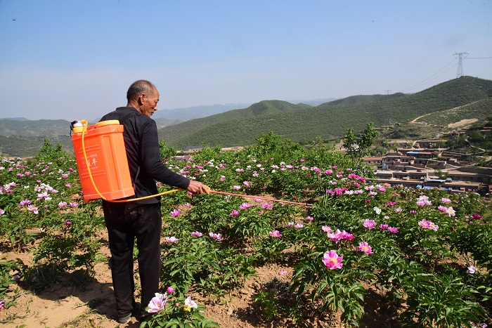 花农,魏丽荣 花农,魏丽荣.jpg