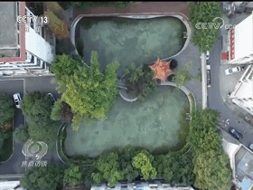 微信图片_20200711202002 微信图片_20200711202002.gif