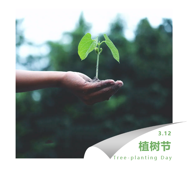 image image.png?v=1765857323182