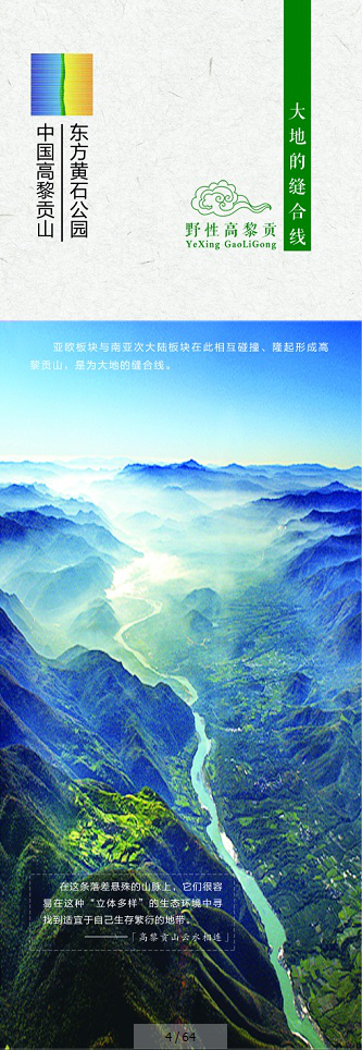 图片3 图片3.png?v=1766107322711