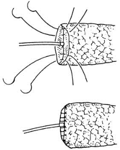 pagenumber_ebook=146,pagenumber_book=131