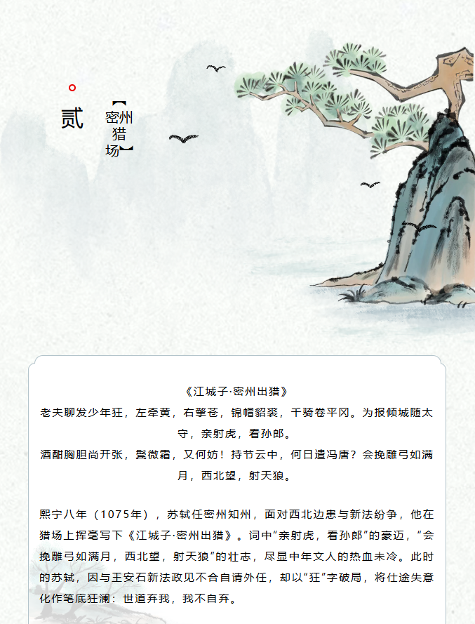 image.png?v=1770177939924