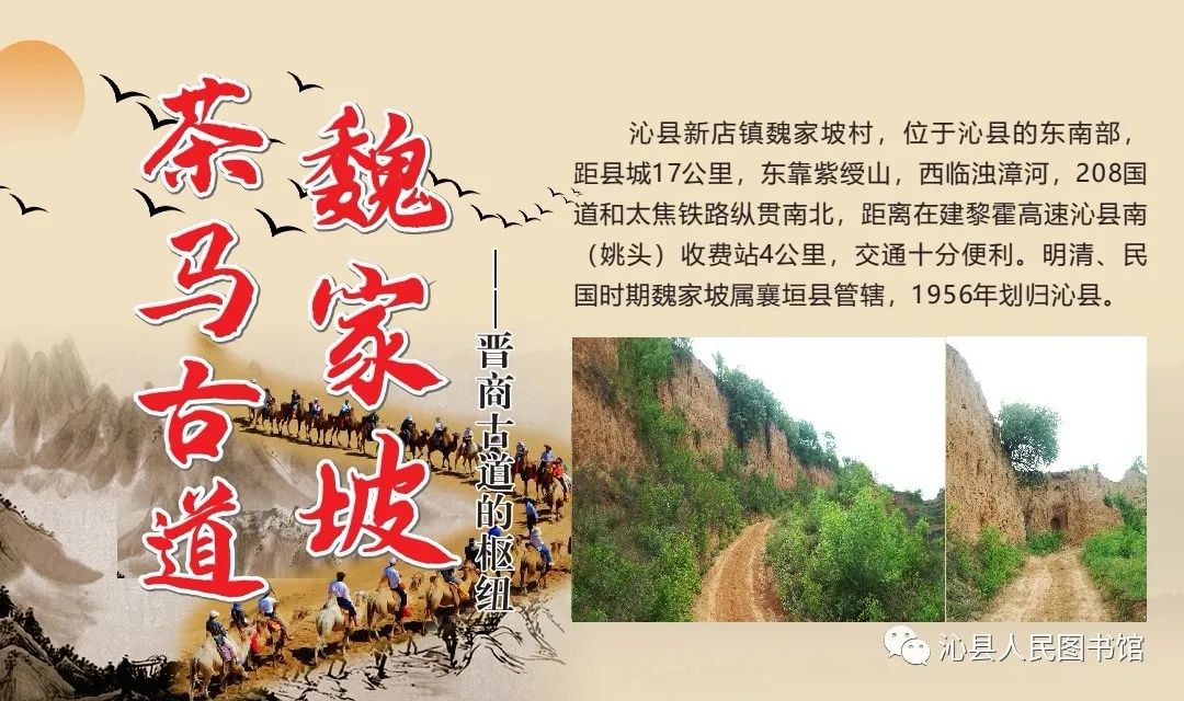 640 (4) 640 (4).jpg?v=1761717169195