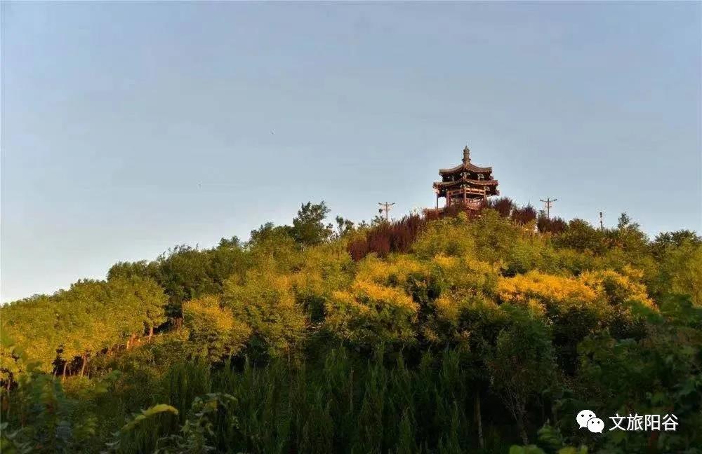 微信图片_20210210111147 微信图片_20210210111147.jpg