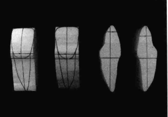 pagenumber_ebook=194,pagenumber_book=185