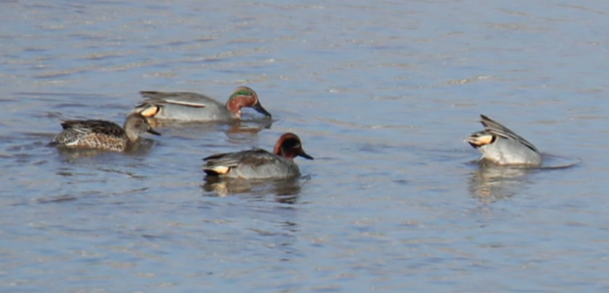 07ccabb98ededf70dd2fcd2c6791df7 07ccabb98ededf70dd2fcd2c6791df7.png