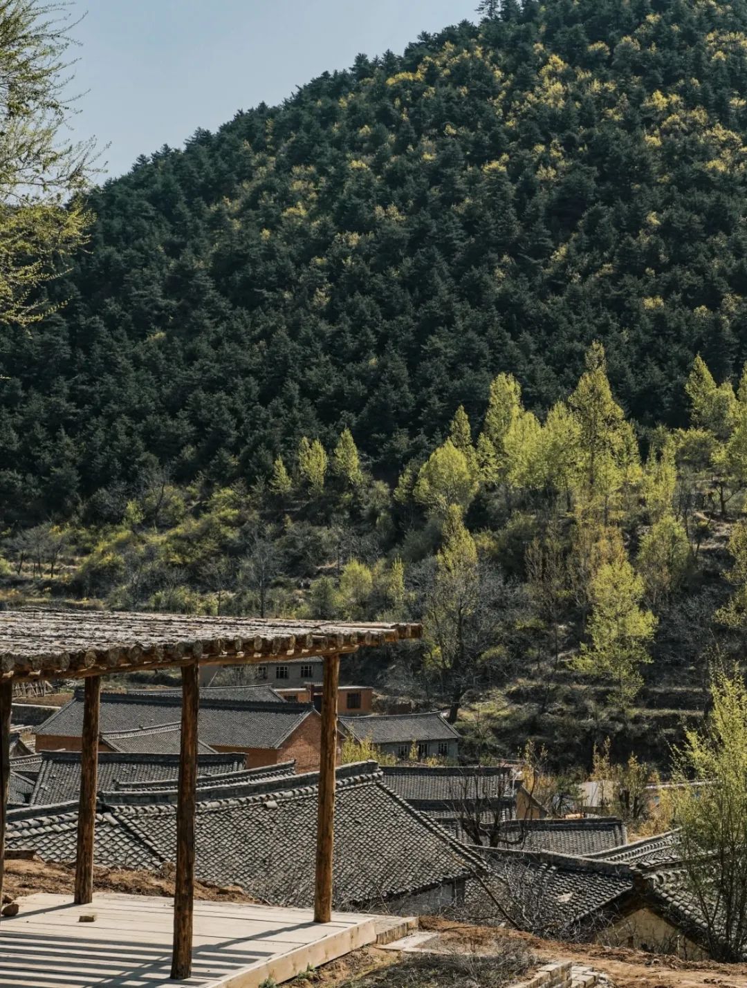 d1545841694916305d18b6647772e2af_640_wx_fmt=jpeg&wxfrom=5&wx_lazy=1&wx_co=1 d1545841694916305d18b6647772e2af_640_wx_fmt=jpeg&wxfrom=5&wx_lazy=1&wx_co=1.jpg