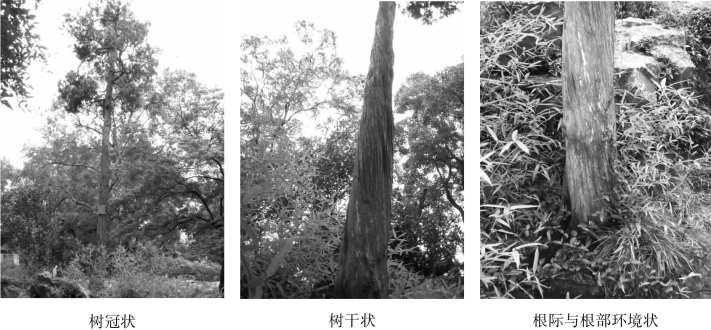 pagenumber_ebook=76,pagenumber_book=76