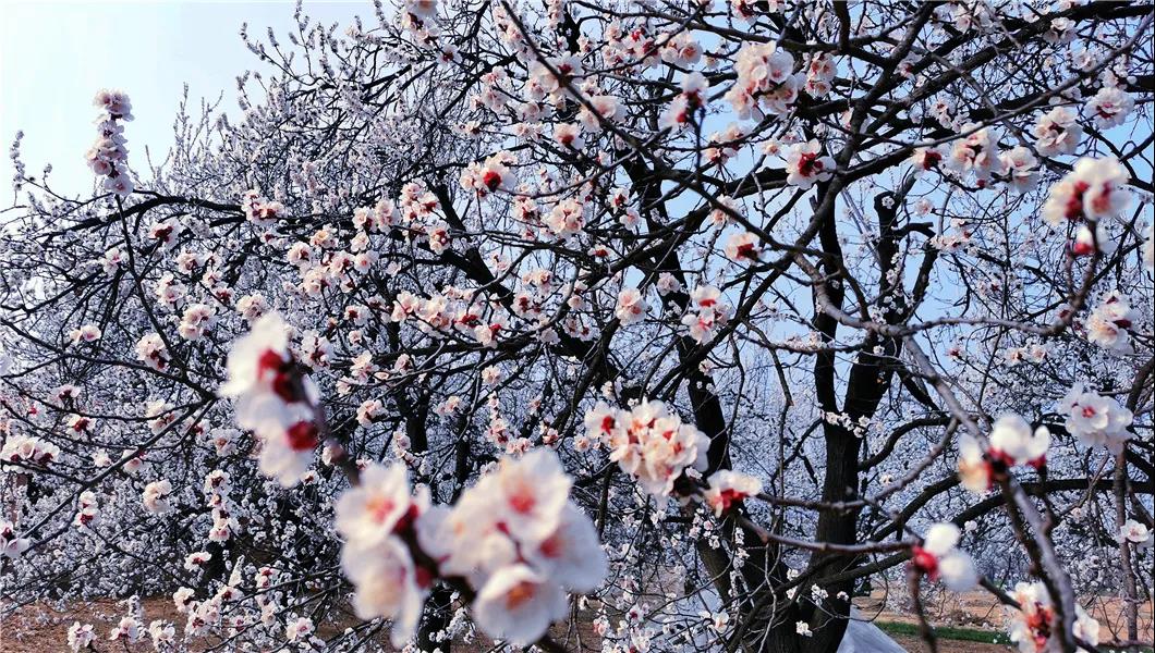 微信图片_20210318082656