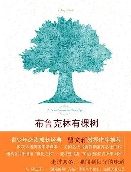 image image.png?v=1770174537580