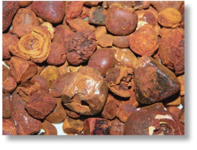 pagenumber_ebook=239,pagenumber_book=226