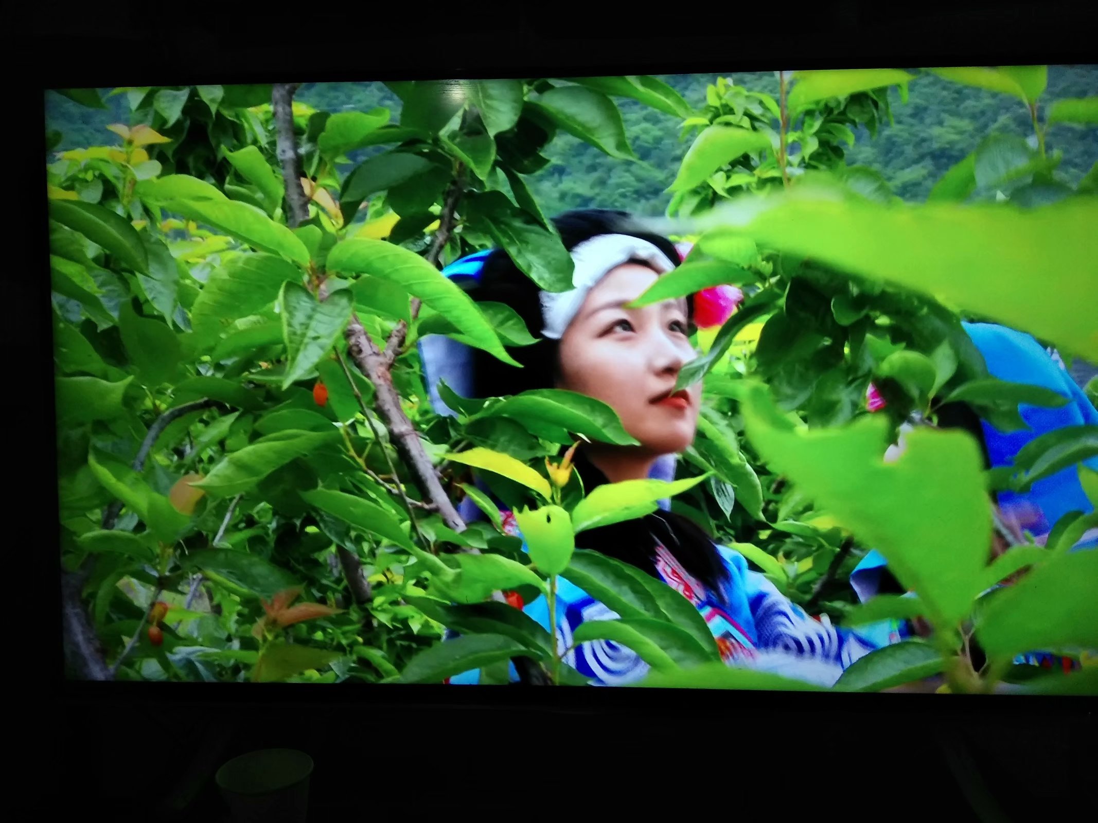 37 37.jpg?v=1762818217888