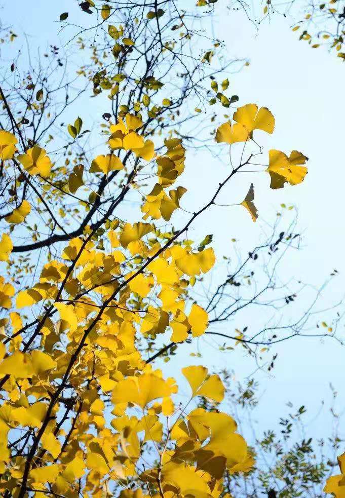 da985585b2311f0723d28092e61832e