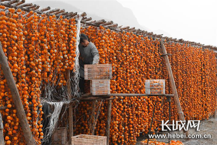 微信图片_20201213104640 微信图片_20201213104640.jpg