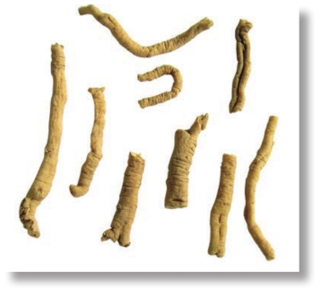 pagenumber_ebook=232,pagenumber_book=219