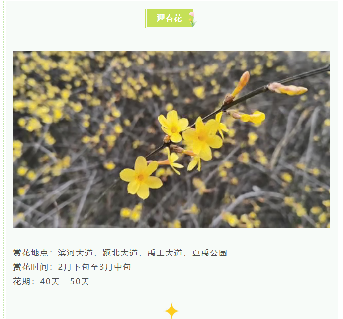 459f02d7a8496f01d877ae4b5ed65ea0png