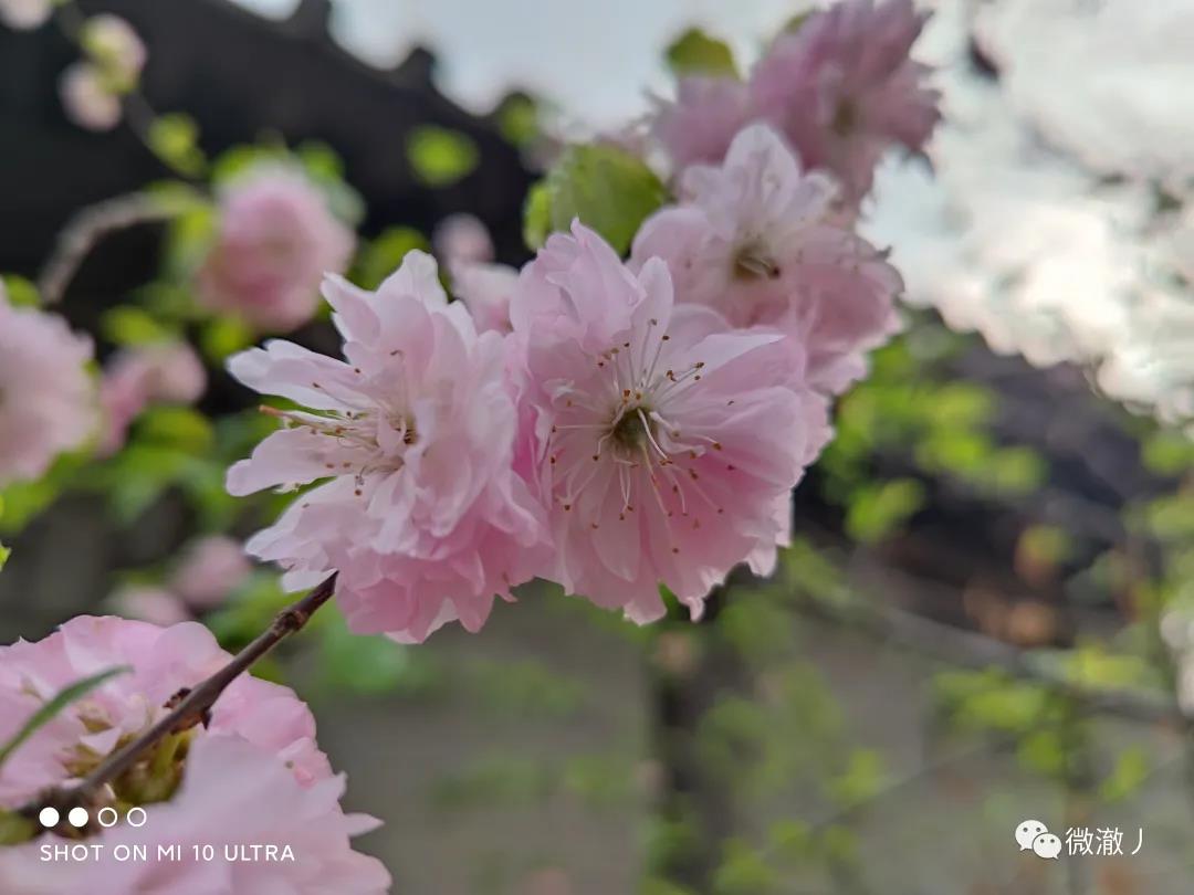 微信图片_20210406105905