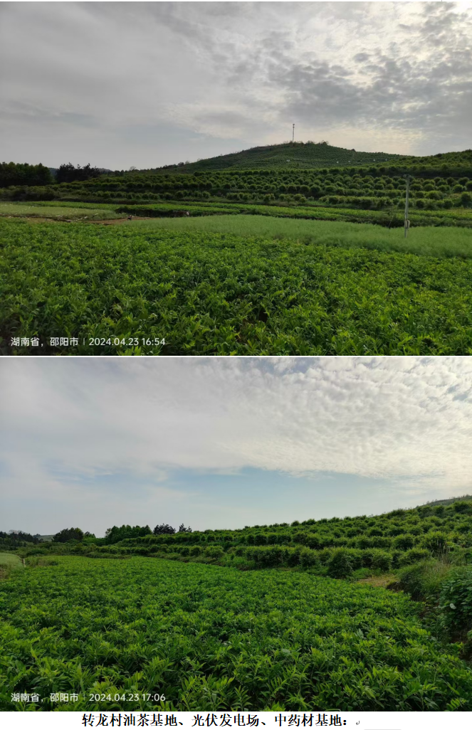 1732182664193 1732182664193.png