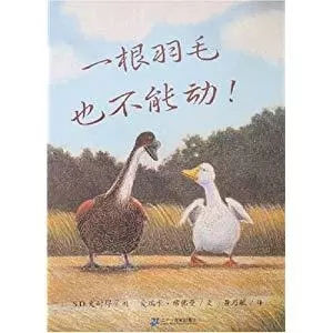 1.webp (11) 1.webp (11).jpg?v=1761887453367