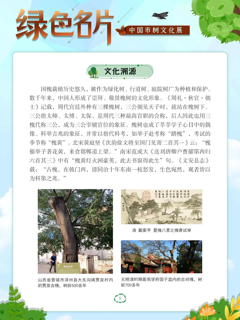 05.webp 05.webp.jpg?v=1762809709749