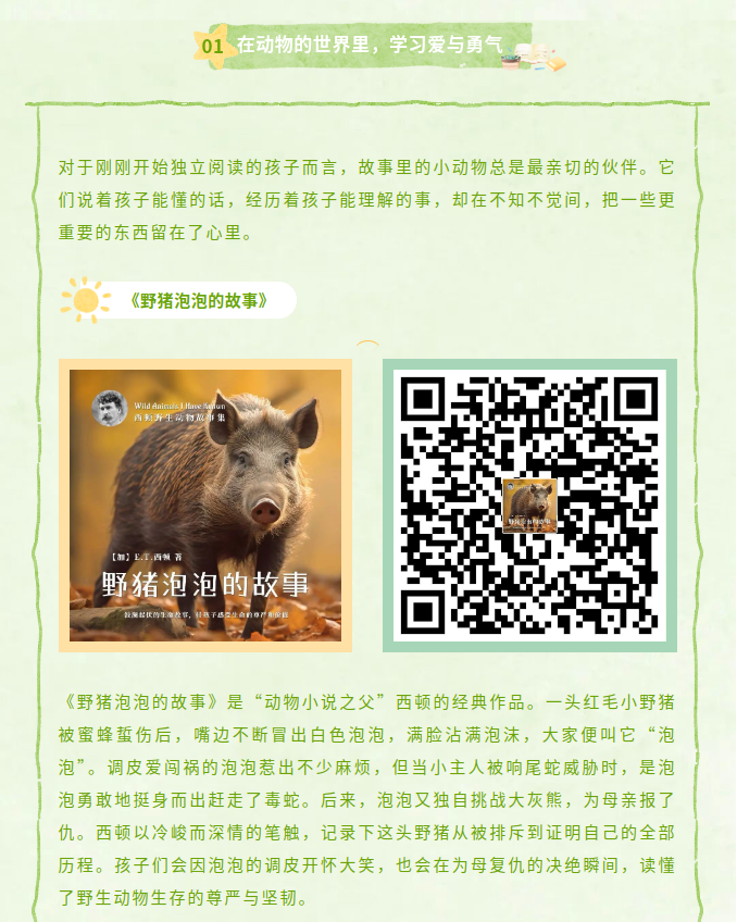 image.png?v=1785036838098