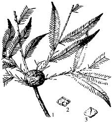 pagenumber_ebook=77,pagenumber_book=77