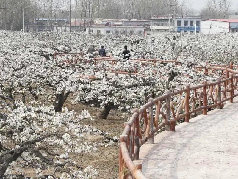 微信图片_20200327112822 微信图片_20200327112822.jpg