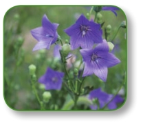 pagenumber_ebook=206,pagenumber_book=193