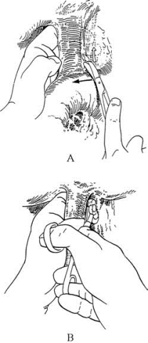 pagenumber_ebook=47,pagenumber_book=32