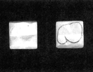 pagenumber_ebook=230,pagenumber_book=221