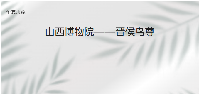 image.png?v=1780838532636