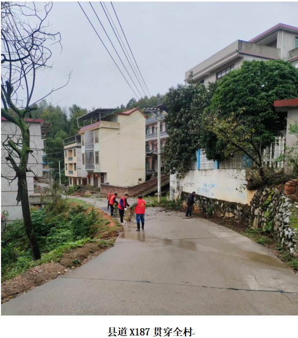 1732344507587 1732344507587.png