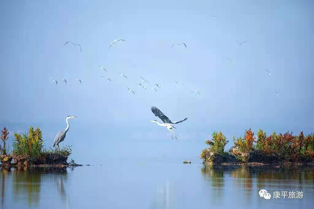 198d59af2c2a6a9751a3f6c974fcf75 198d59af2c2a6a9751a3f6c974fcf75.jpg