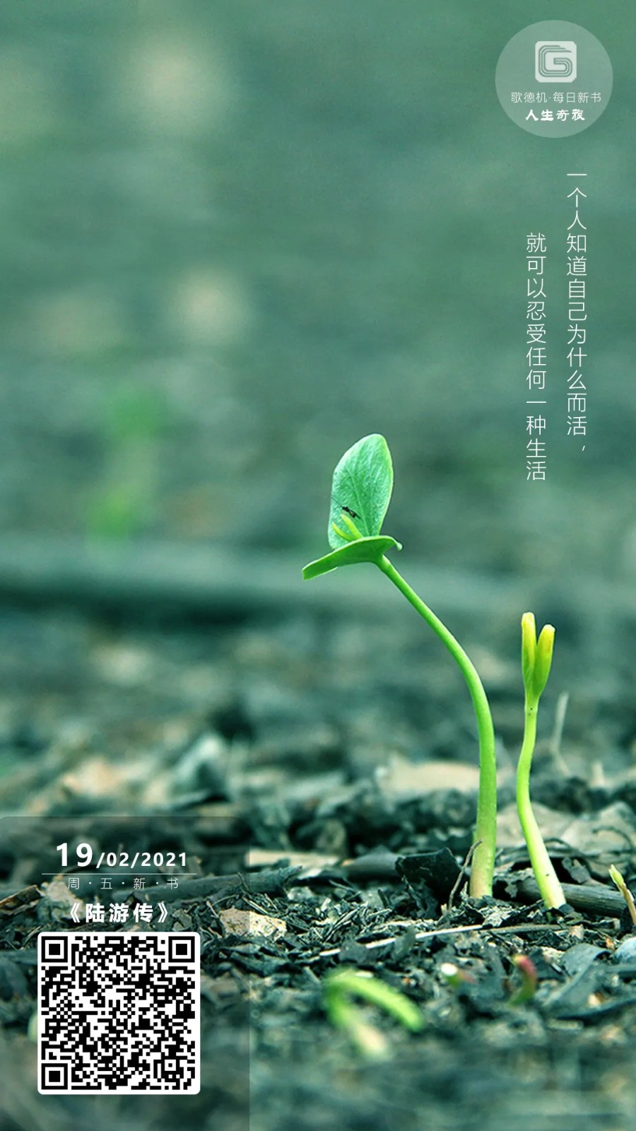 640.webp 640.webp.jpg?v=1765701097184