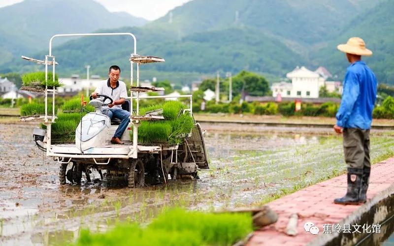 4 4.jpg?v=1765891042459