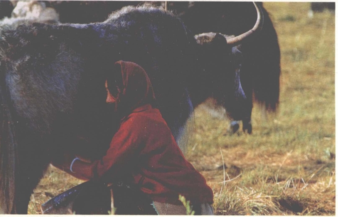 pagenumber_ebook=199,pagenumber_book=191