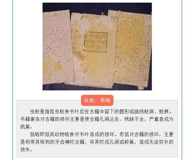 image.png?v=1754275719565