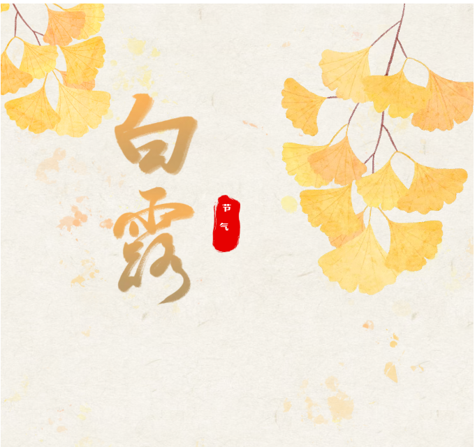 image.png?v=1788858041626