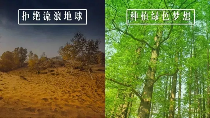 微信截图_20201224103741 微信截图_20201224103741.png